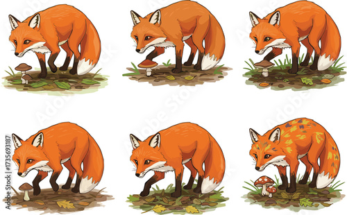 Red fox illustration, woodland animal artwork, cartoon fox with mushrooms, autumn forest wildlife, cute fox character, nature drawing