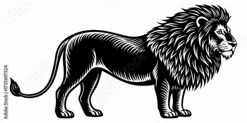 Create a highly realistic image of a male lion standing in profile, facing left. The lion should have a full, majestic mane, detailed fur texture, and a muscular body. Its expression should be calm an