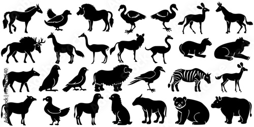 Create a collection of minimalistic black animal silhouettes in a clean, icon-style format. Each silhouette should clearly represent a different animal species — including mammals, birds, reptiles, in