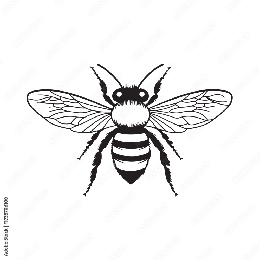 Obraz premium Bee silhouette, Detailed bee silhouettes collection, bee logo silhouette vector illustration, honey bee vector silhouette illustration isolated on white background