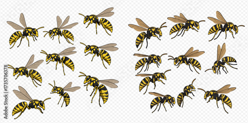 Illustration of multiple wasps with yellow and black stripes and translucent wings.