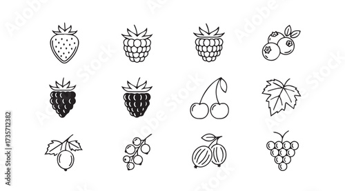Vector art of berry icon set