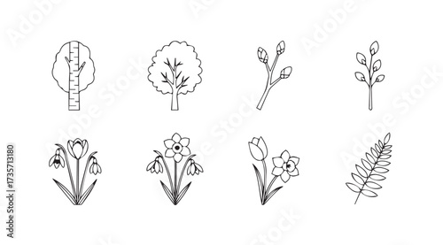Vector art of spring plants