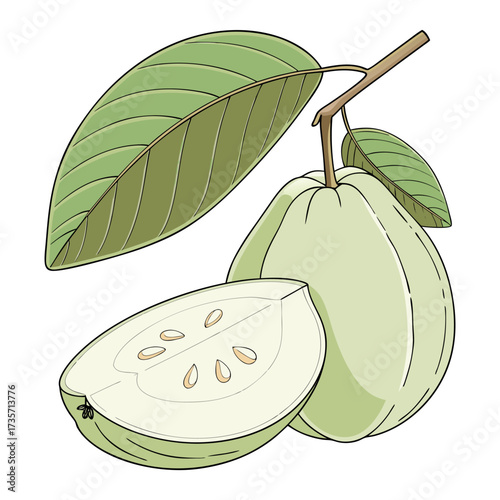A realistic, high-resolution image of a fresh green guava with a leaf attached, sitting on a clean white background. The guava is slightly pear-shaped with a smooth, waxy skin, light green in color. T