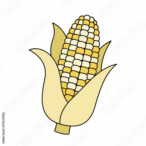 Simple Handdrawn Style Corn on the Cob Isolated Farming Vegetable