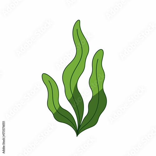 Simple Flat Style Seaweed Underwater Aquatic Plant Marine Algae Illustration