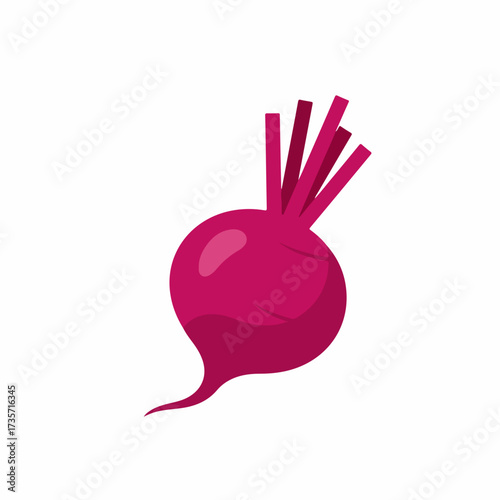 Flat Simple Illustration of Beetroot Vegetable For Healthy Food Concept