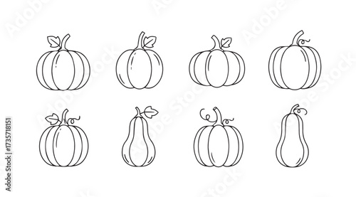 Vector art of pumpkins