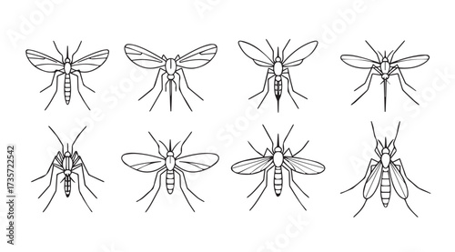 Vector art of mosquito insect set