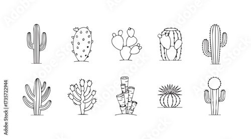 Vector art of cactus plant set
