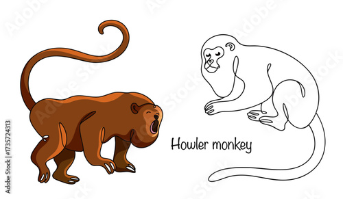 Howler monkey