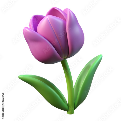 pink tulip isolated on white