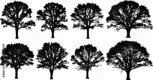 Black tree silhouette collection with diverse branching patterns and foliage forms for botany, design, illustration, and educational reference