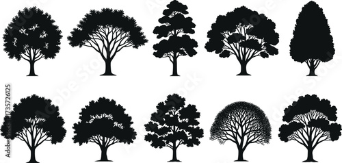 Silhouette tree collection with diverse canopy shapes and branching patterns for botanical study, landscape design, and artistic illustration