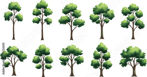 Stylized tree collection with varied foliage, trunk shapes, and canopy patterns for botanical illustration, landscape design, and educational use