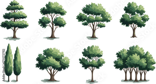 Tree morphology grid with diverse canopy styles, trunk structures, and foliage density for landscape design, botany, and educational use