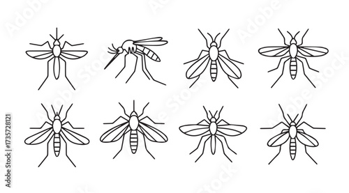 Vector art of mosquito collection