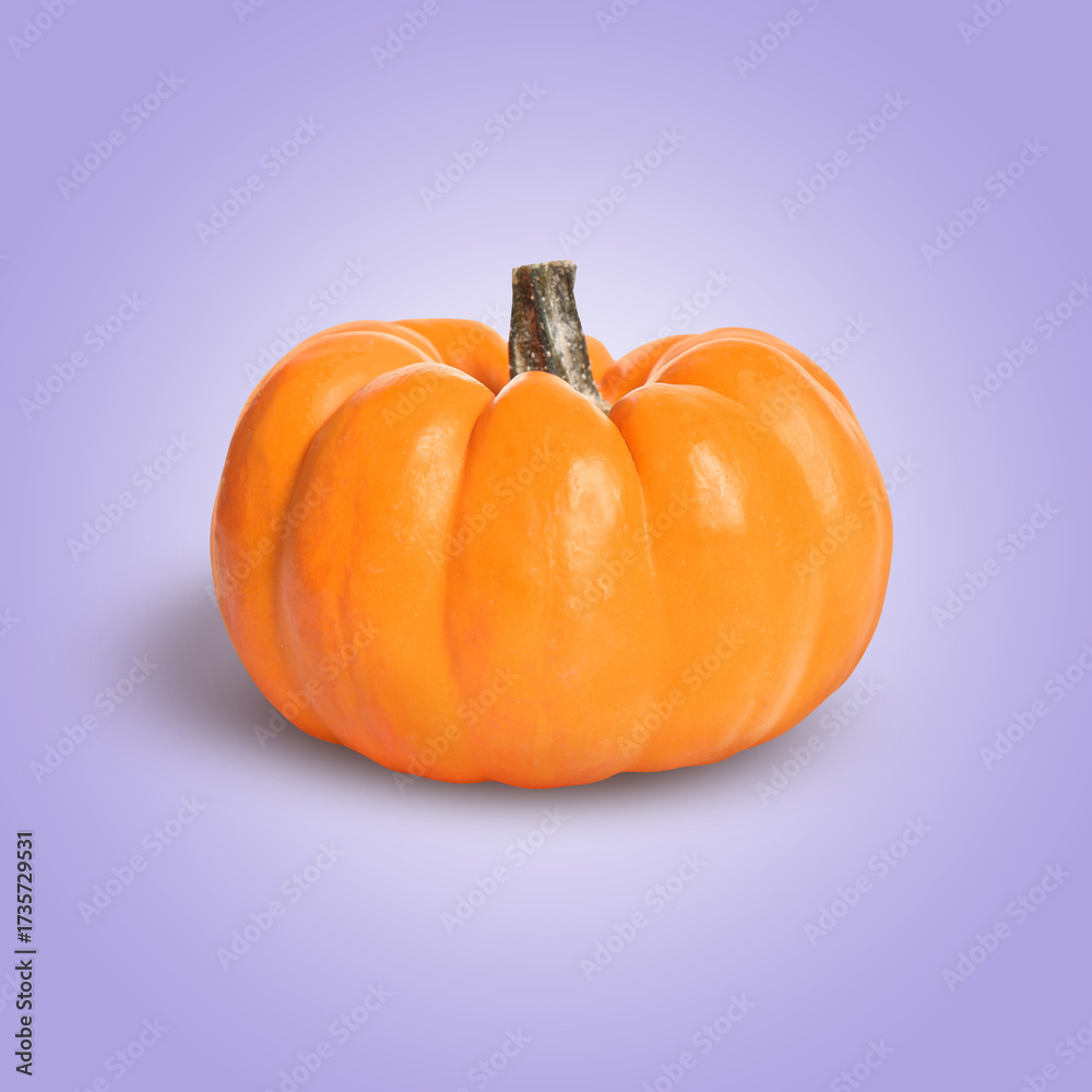 Obraz premium Whole ripe pumpkin on blue violet background