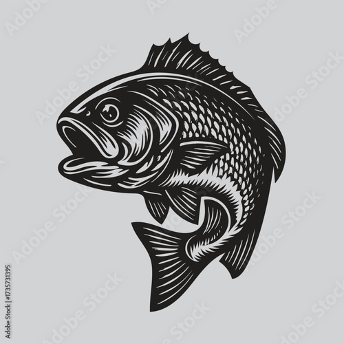 Retro Snapper Fish Clipart for Branding and Signage