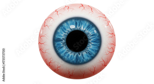 Realistic human eyeball with blue iris isolated PNG, blood vessels on sclera for medical or horror concepts
