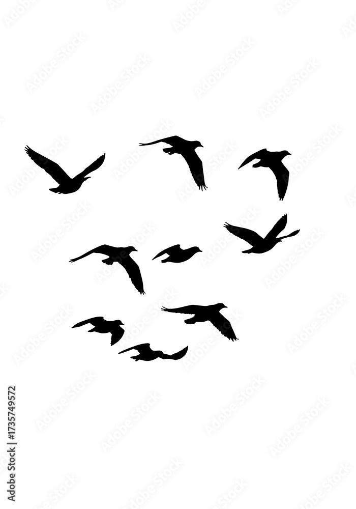 Fototapeta premium Flight of Shadows
