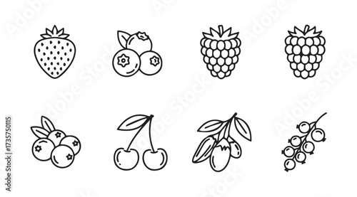 Vector art of berries