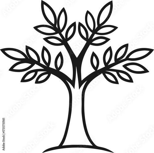 olive tree line vector art - illustration of olive tree isolated transparent background