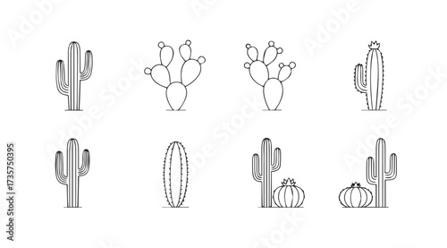 Vector art of cactus