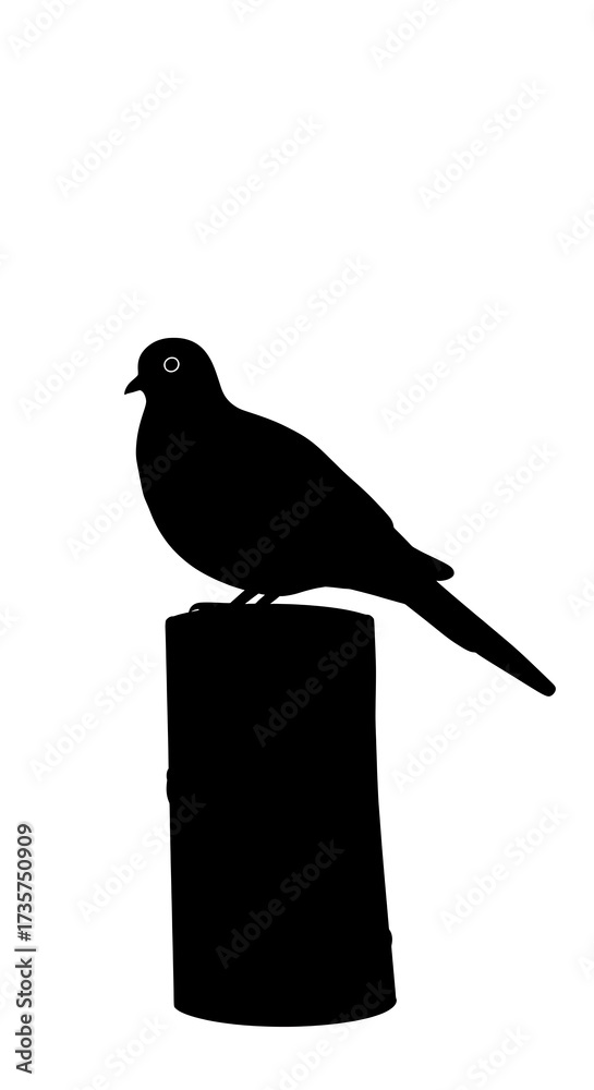 Obraz premium Silent Sentinel