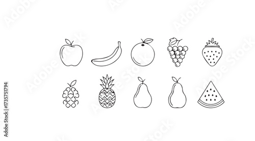 Vector art of fruits line drawing