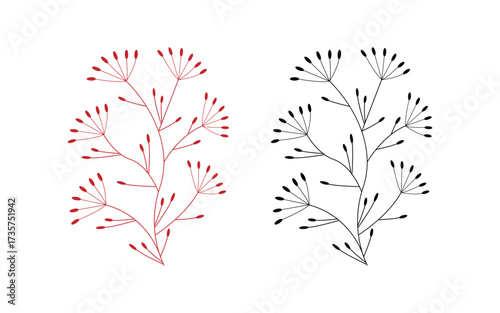 Two delicate floral branches in red and black on a clean white background art