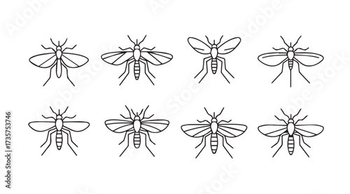 Vector art of mosquitoes
