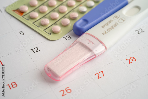 Pregnancy test for female of ovulation day, fetus, maternity, childbirth, birth control.