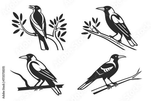 Minimalist australian magpie icon set