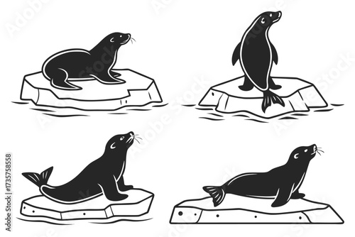 Minimalist baby seal on ice icon set
