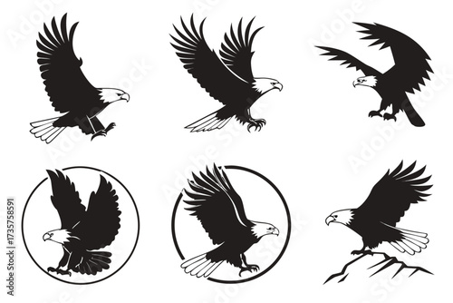 Minimalist bald eagle icon set in black and yellow
