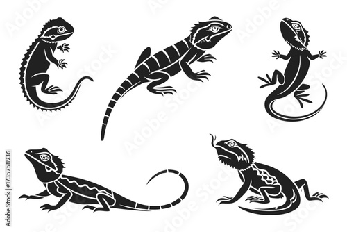 Minimalist bearded dragon lizard icon set