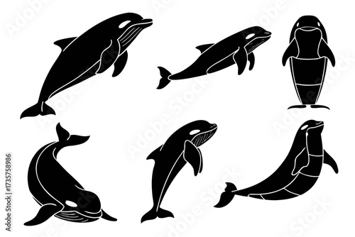 Minimalist beluga whale icon set with four color options