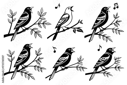 Minimalist canary singing icon set in yellow and black