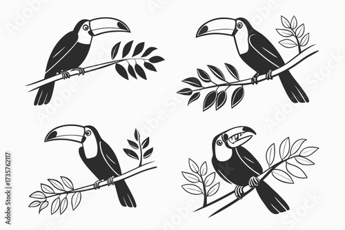 Minimalist channel billed toucan icon set