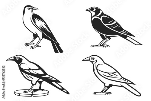 Eight minimalist common myna bird icons in black and yellow