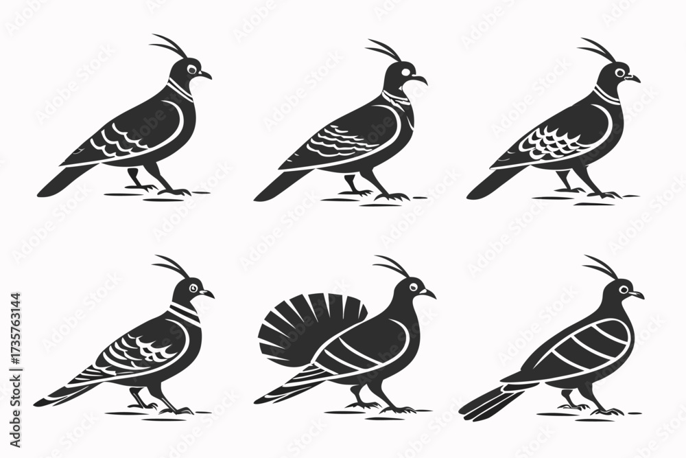 Fototapeta premium Minimalist crested pigeon icon set with geometric elements