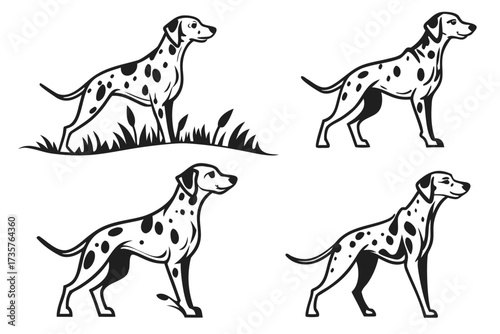 Minimalist dalmatian dog icon set with colorful accents