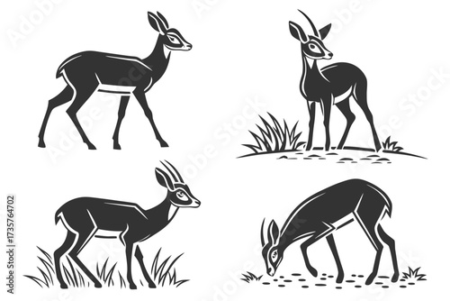 Minimalist dik dik antelope icon set