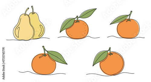 A collection of pears and oranges depicted in a simple illustration.
