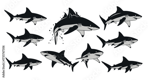 A collection of stylized illustrations depicting various sharks in different poses, some leaping.