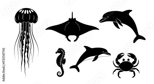 Silhouetted marine animals, including jellyfish, stingray, dolphins, seahorse, and crab, displayed against a white background.