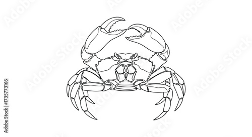 An artistic depiction of a crab with delicate line work and intricate details in its claws and shell.