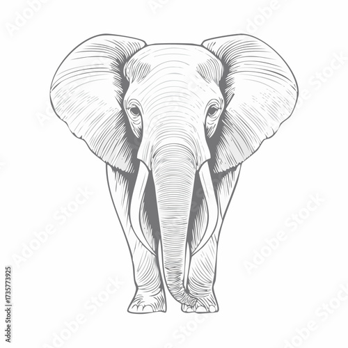 Detailed front view of an African elephant, majestic creature.