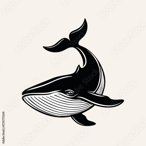 Elegant black and white whale illustration on a light background.